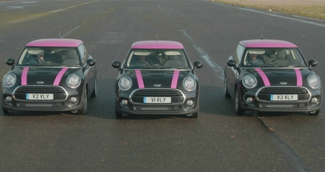 Minis vitality life