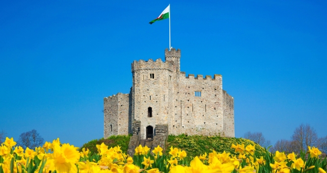 cardiff castle wales daffodils