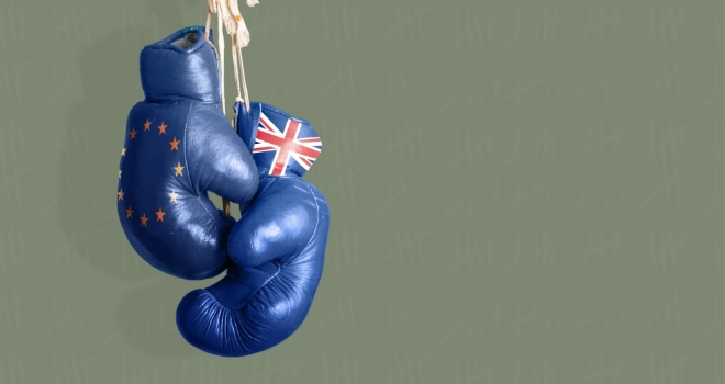 New 'Brexit Bond' offers 2% bonus on Pound:Euro prediction brexit