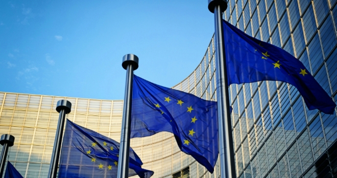 UK businesses urged to work with new EU anti-money laundering authority EU flags Brexit Europe