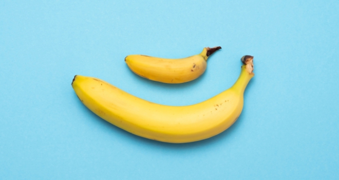 Smaller lenders 'the key to meeting affordability requests': MBT bananas small large comparison lol sorry bones