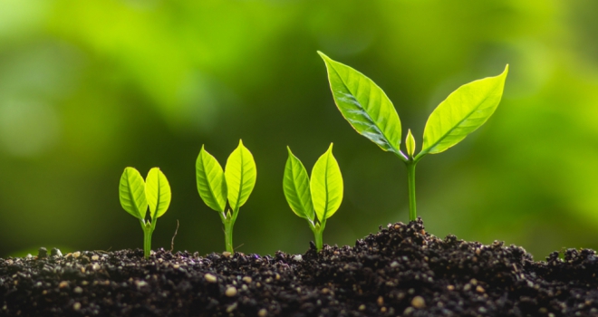 CHL Mortgages adds New Leaf to its select distribution panel grow growth plant increase