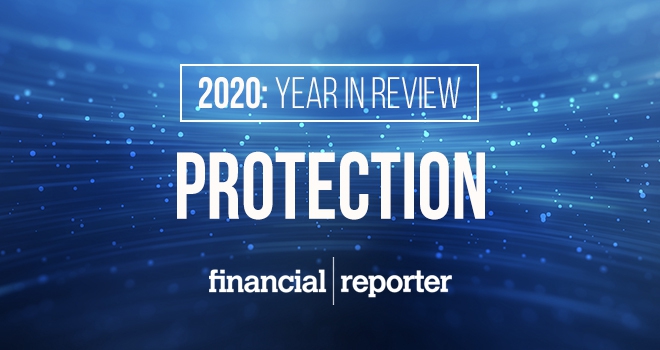 Year in Review: protection in 2020 protection year in review