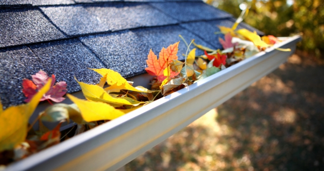 'Autumn bounce-back' fails to materialise as activity remains flat: RICS house gutter leaves autumn