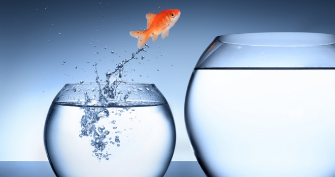 High LTV product choice soars 46% in twelve months rise growth improve move new job fish bowl