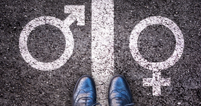 Alpha male and bonus culture preventing financial services gender equality: MPs Gender women in finance balance