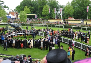races race day horse