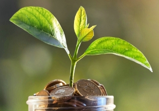 savings money pension retirement grow