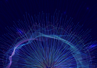 Paradigm seeks adviser views for national AI survey AI tech
