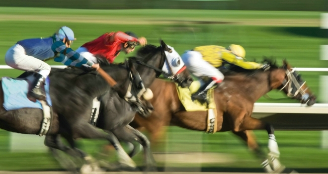 If horses were houses, who would win the Cheltenham Gold Cup? horse