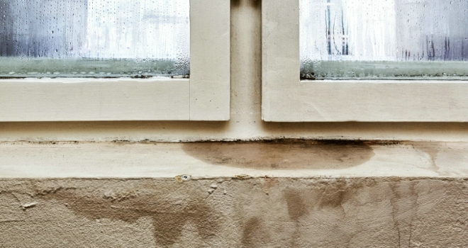 Average repair times for tenants passes 40 days damp
