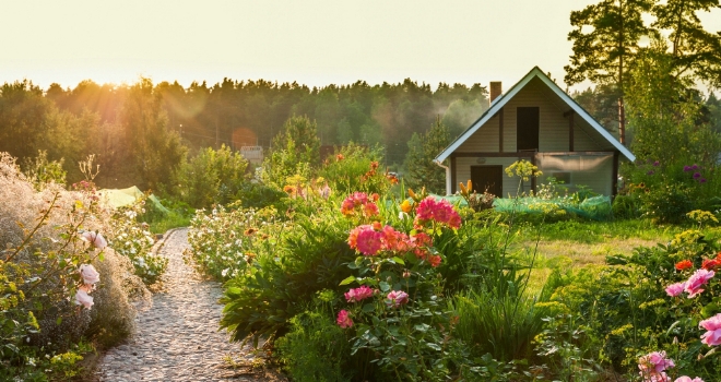 Lockdown sees vast majority of homeowners investing in their gardens Garden