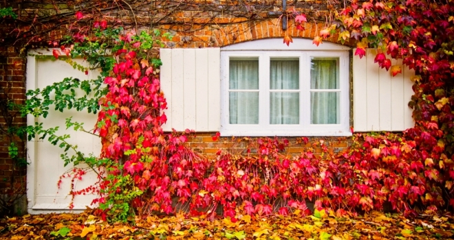 Top tips to get your home Autumn-ready House Autumn