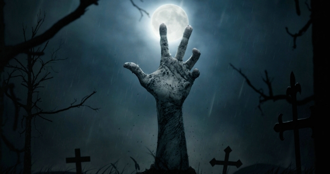 Living on Elm street is a nightmare for homeowners halloween 2