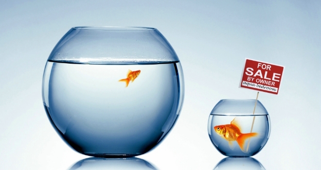 Do estate agents lose interest if your property takes longer than 2 weeks to sell? fishy