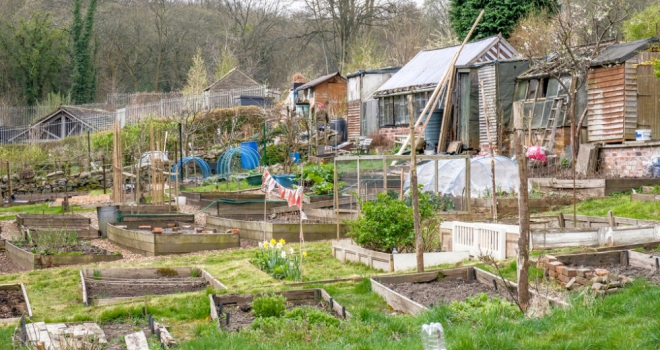 Allotment land has the potential of unlocking 200,000 new homes across England allotment 249