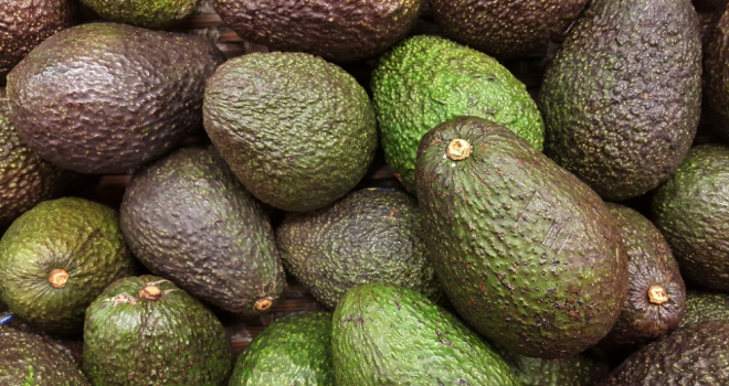 How many avocados would millennials need to sacrifice to buy their first home? avocados