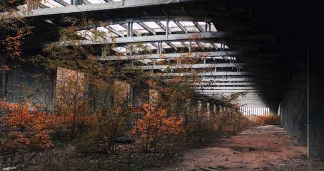 The planet vs. planning: Challenges of keeping the planning machine lean and green BNG New development 927