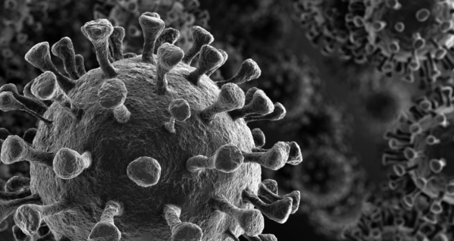 Coronavirus sees shareholder payout paused at Berkeley Covid-19