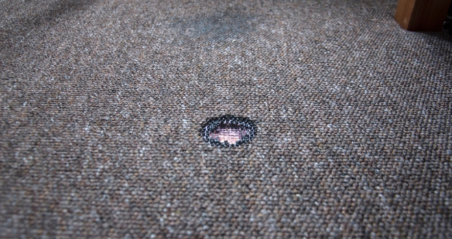 Uninsured landlords risk losing 45% of their annual rental income through tenant damage Damage 222