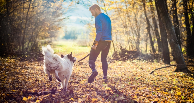 House price premiums for properties close to good dog-walking space as high as 94% Dog Walking 725