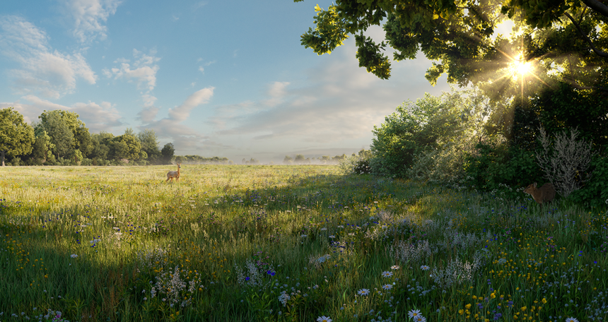 “Biodiversity Net Gain market is thriving,” - Environment Bank  Emberton Habitat Bank - Environment Bank - 555