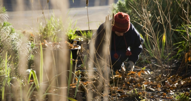 Top tips to keep your garden alive this winter Garden winter 780