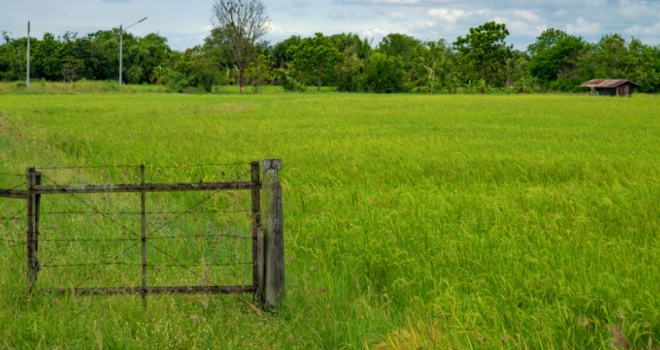 Demand high among developers for land and farming plots Land 803