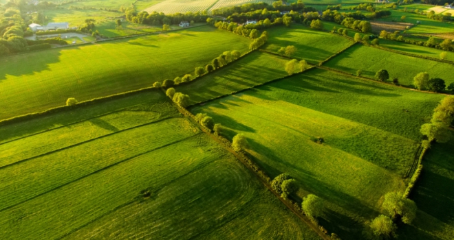 Farmland found to be the most in demand development type during Q3 land 884