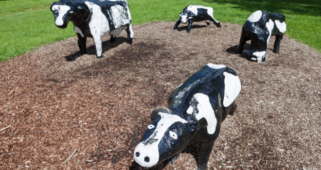 The best rental areas in Milton Keynes  Milton Cows 207