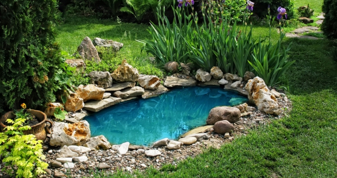 Properties with ponds failing to make a splash with house hunters Pond 826