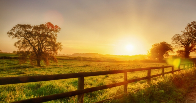 Rethinking the Green Belt Rural 555