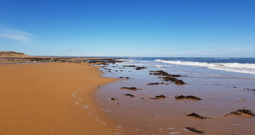 Top British beaches push property prices up by 20% Kingsbarns Beach - Fife - 022
