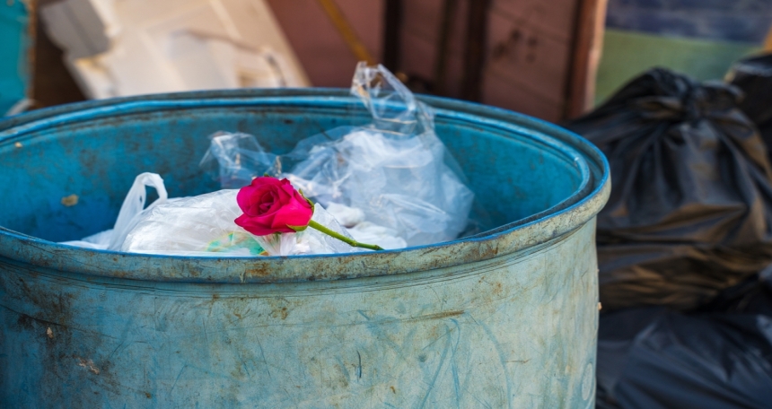 Vast majority of Labour-voting landlords 'wouldn’t do it again’ Red rose - 581