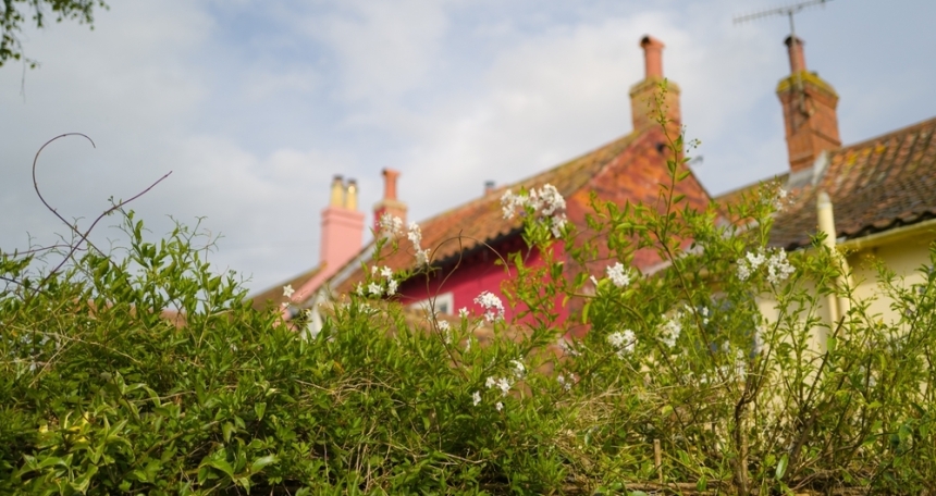 Almost 12,000 Brits involved in 'garden gripes' with neighbours Overgrown garden - 033