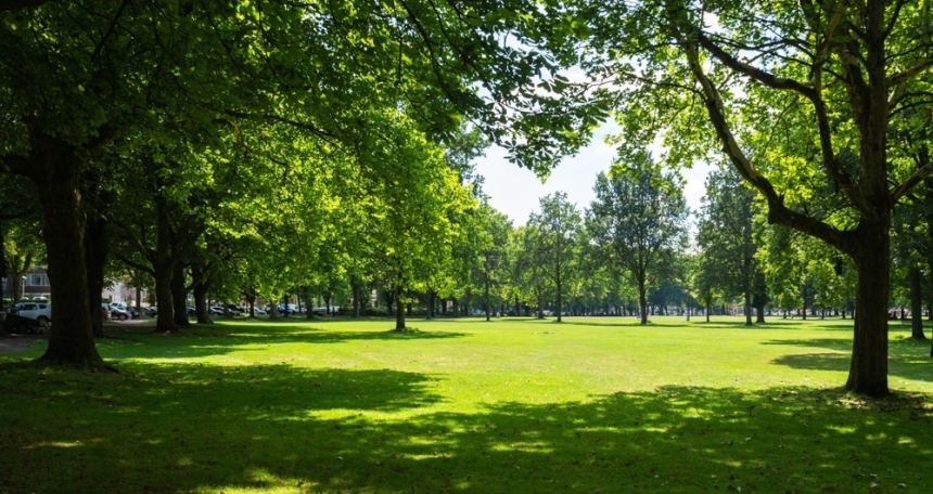 The role of planning and development in supporting mental wellbeing Green Spaces - 822