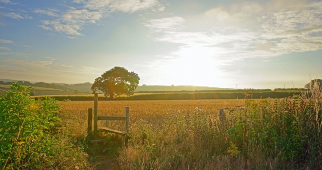 Government time limits on land lay blame at wrong door Public Land 997