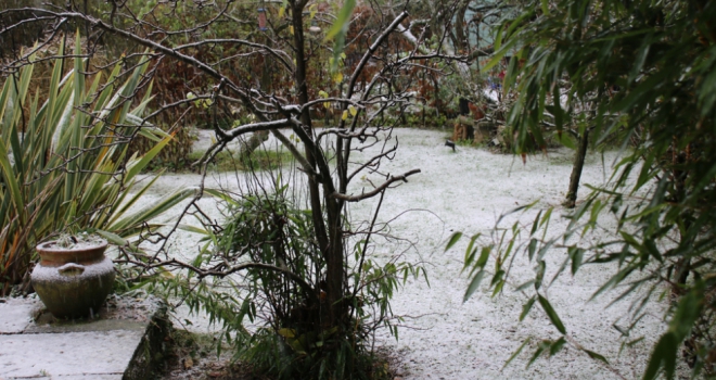 Majority of Brits abandon their garden every winter Winter Garden 777
