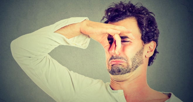 Scents and saleability: What your home should smell like to ensure a quick sale Smelly 500