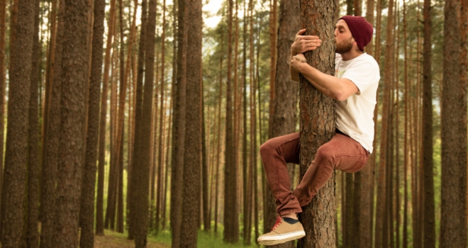 Where to buy a home if you're really into trees Tree hugging 556