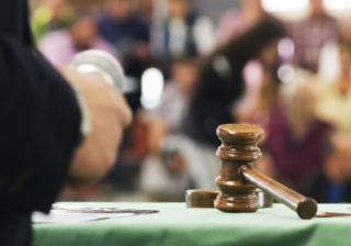 Auction sales up 10% despite challenging market conditions Auction 822