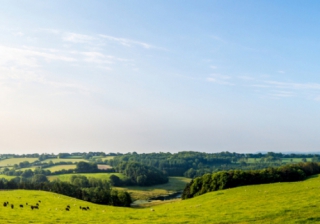 1% of green belt development could deliver 600k new homes Counrtyside 101