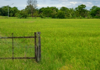 Demand high among developers for land and farming plots  Land 803