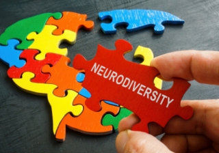 How neurodiversity relates to planning and development  Neurodiversity 725