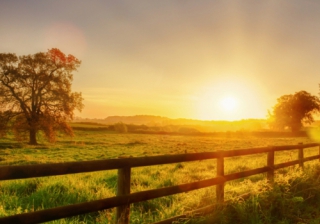 The need for Green Belt reform: more reviews and plans (and fewer agendas) Rural 555