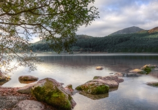 Llyn Cwellyn lake - 015