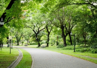 Green Park London - 622