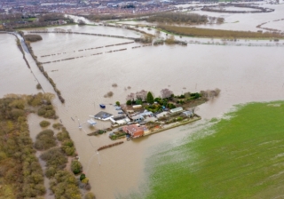 Storm Damage - 377