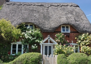 Holiday Let Cottage - 993