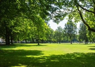 Green Spaces - 822